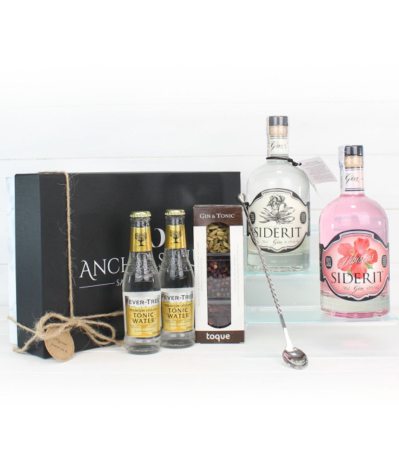 Cesta Gourmet Regalo "Pack gin-tonic y compañia"