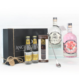 Cesta Gourmet Regalo "Pack gin-tonic y compañia"